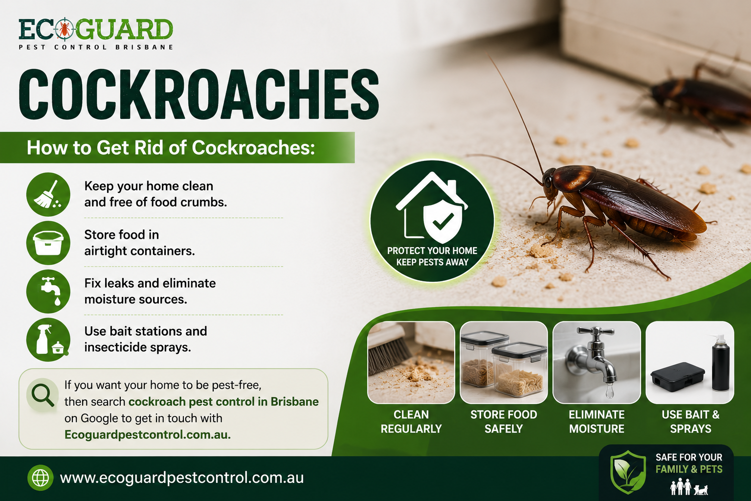 Cockroaches
