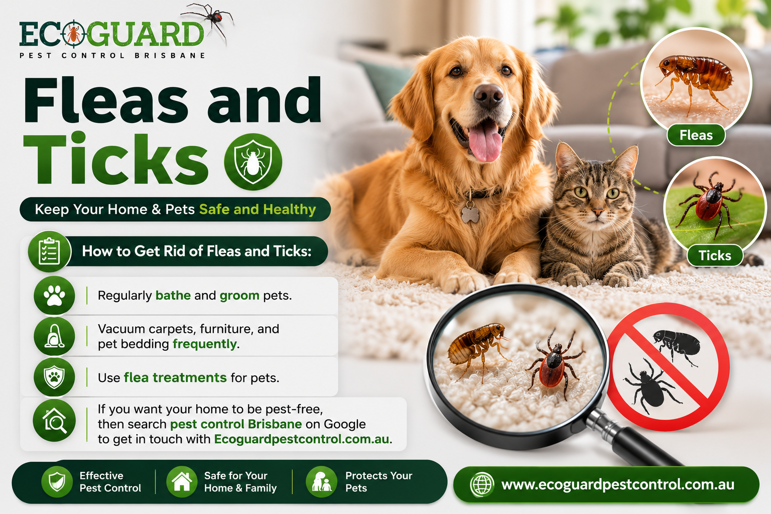 Fleas and Ticks