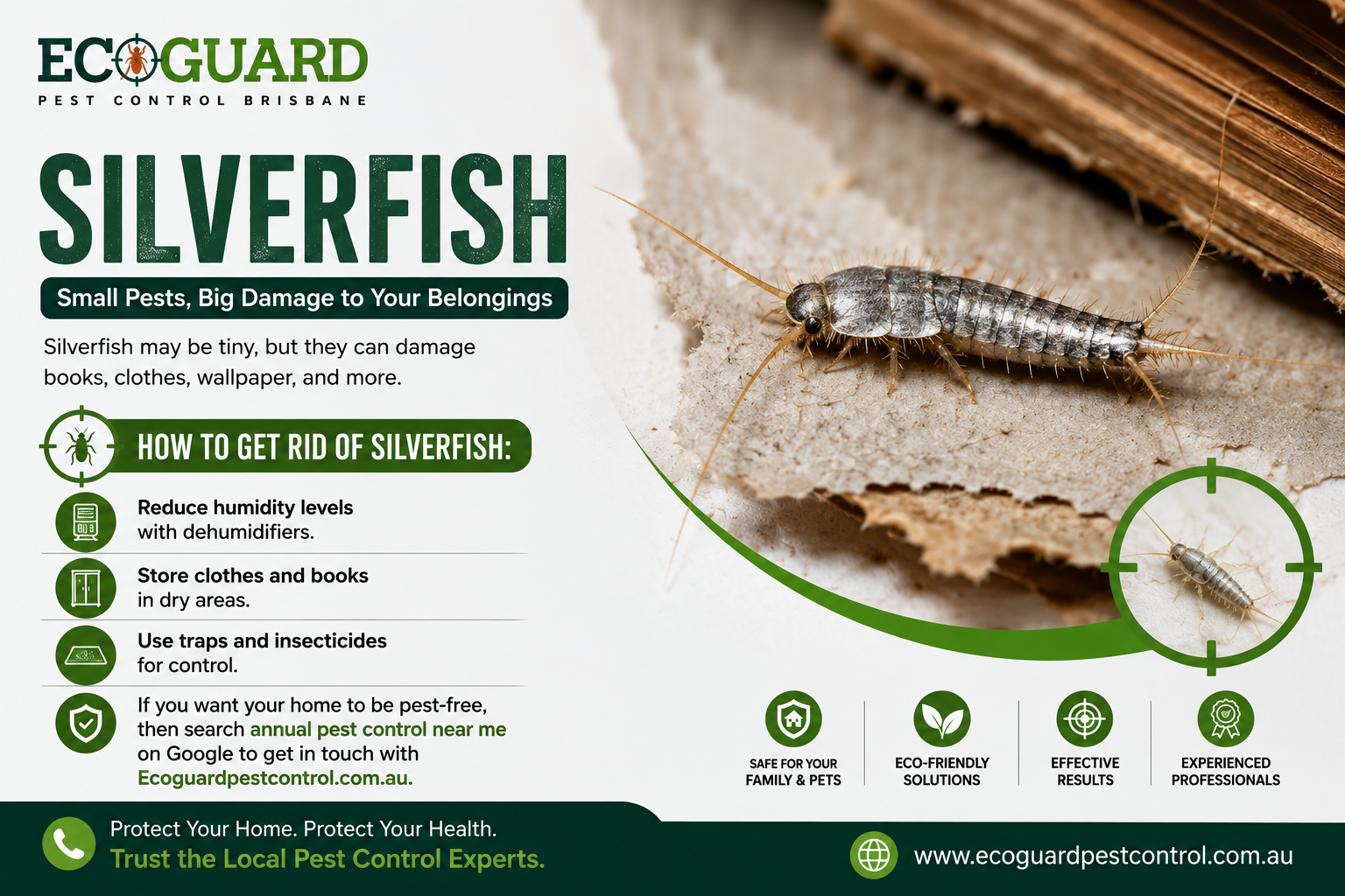 Silverfish