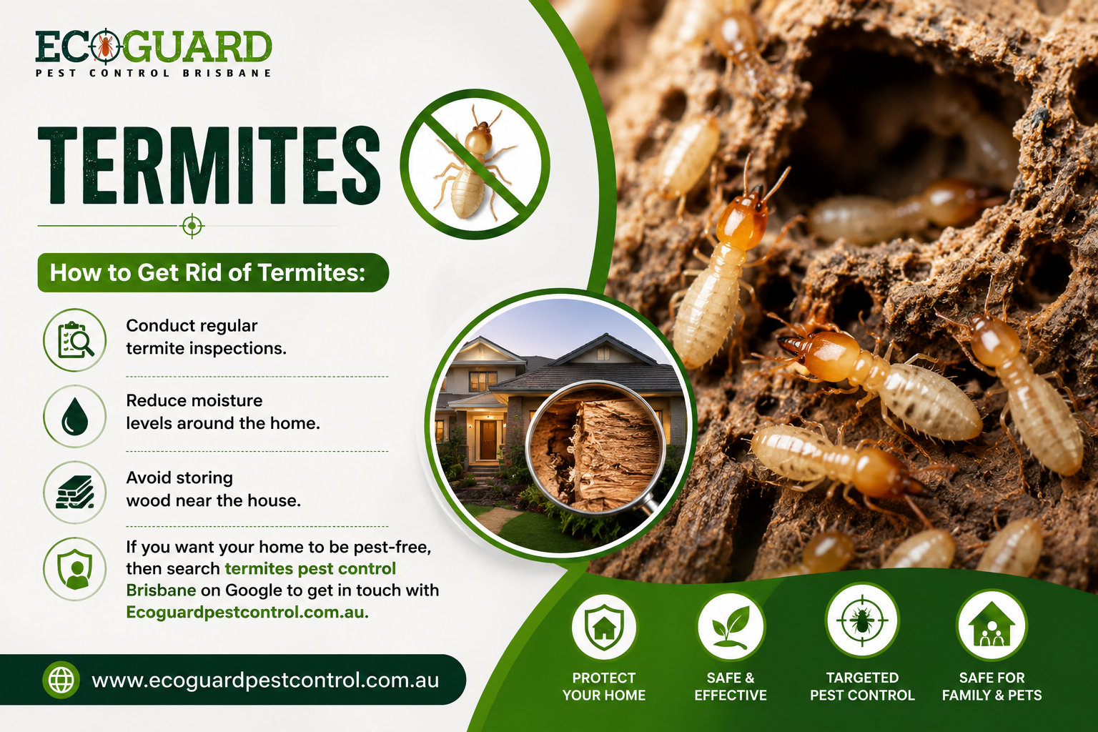 Termites