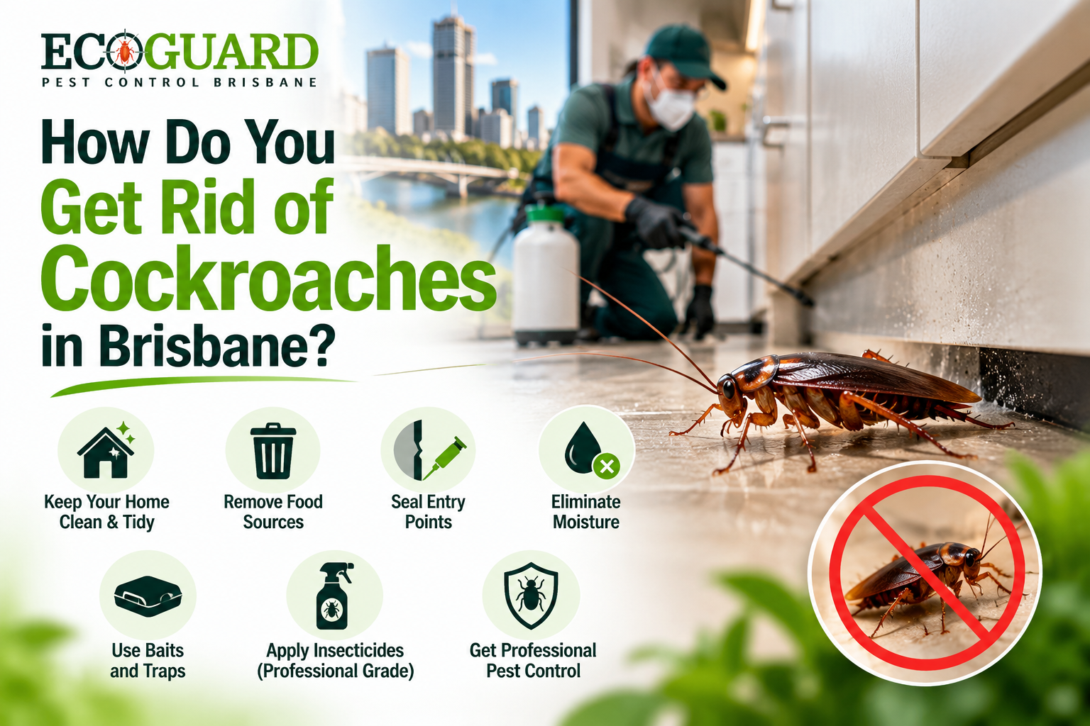 How Do You Get Rid of Cockroaches in Brisbane?
