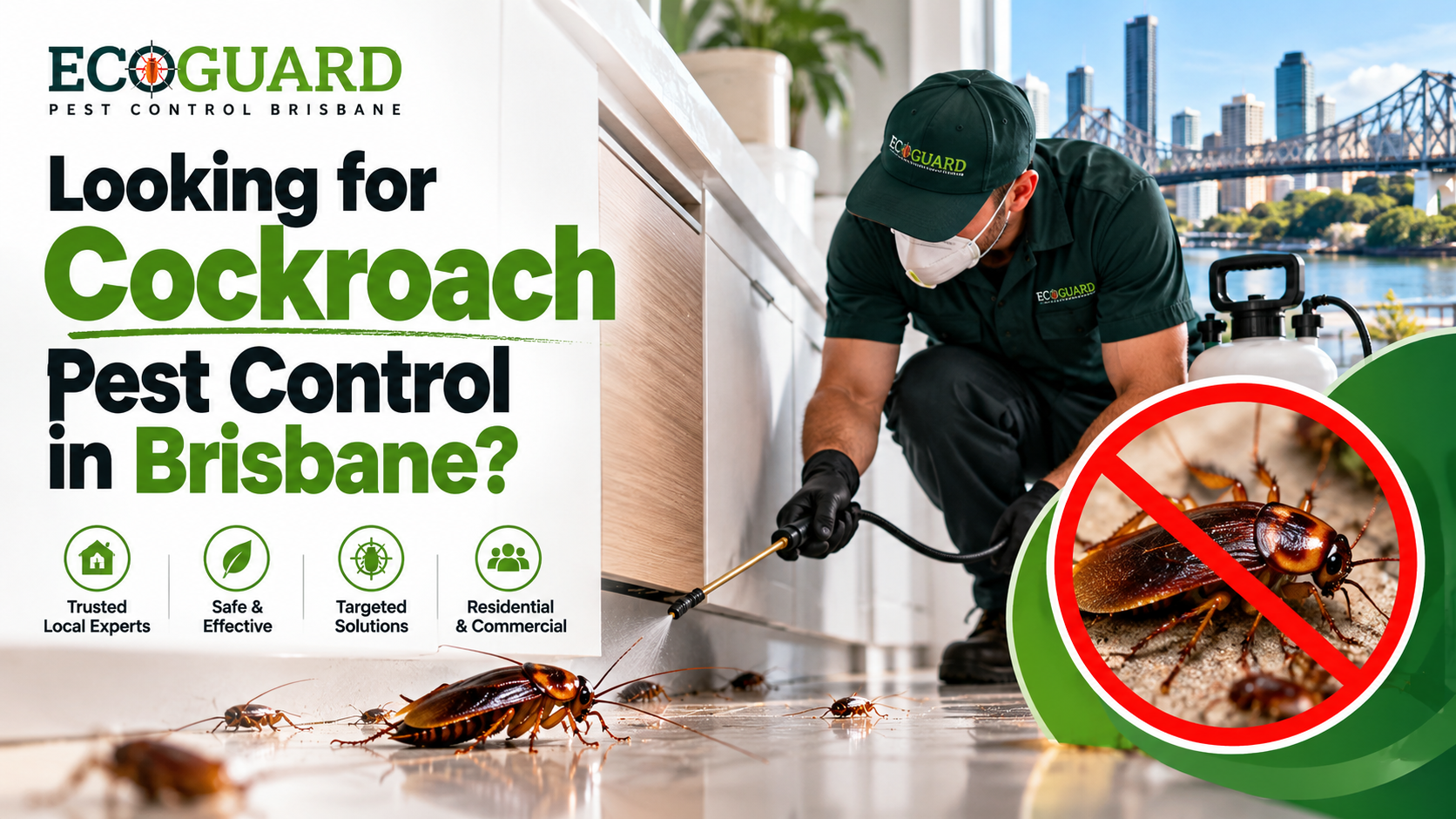 Looking for Cockroach Pest Control in Brisbane?