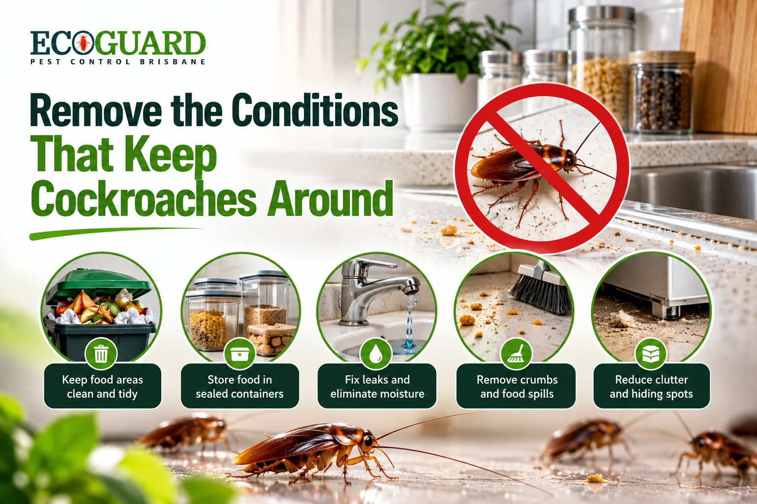 Remove the Conditions That Keep Cockroaches Around