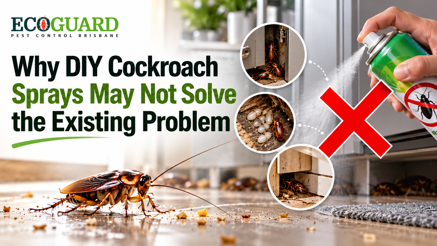 Why DIY Cockroach Sprays May Not Solve the Existing Problem