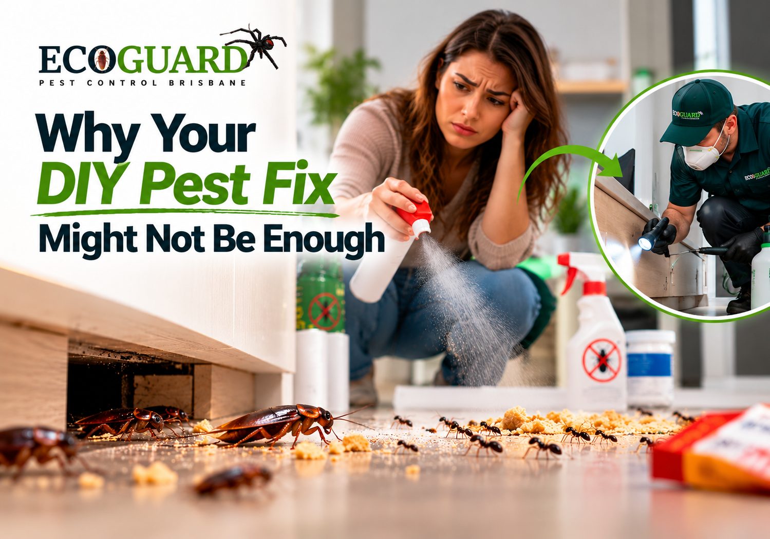 Why Your DIY Pest Fix Might Not Be Enough